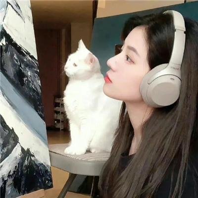 抓啄木鸟